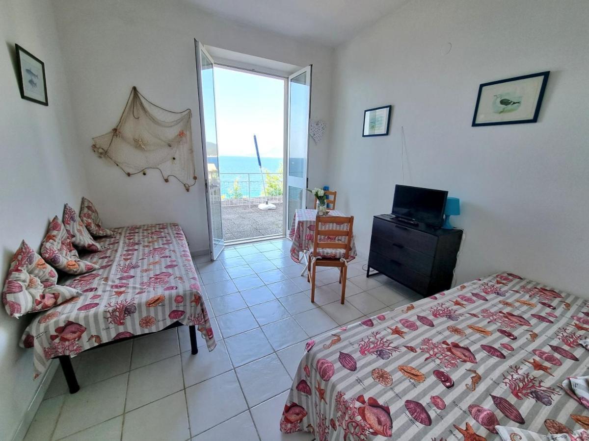 Appartamenti La Terrazza Sulle Ghiaie - Goelba Portoferraio Rum bild