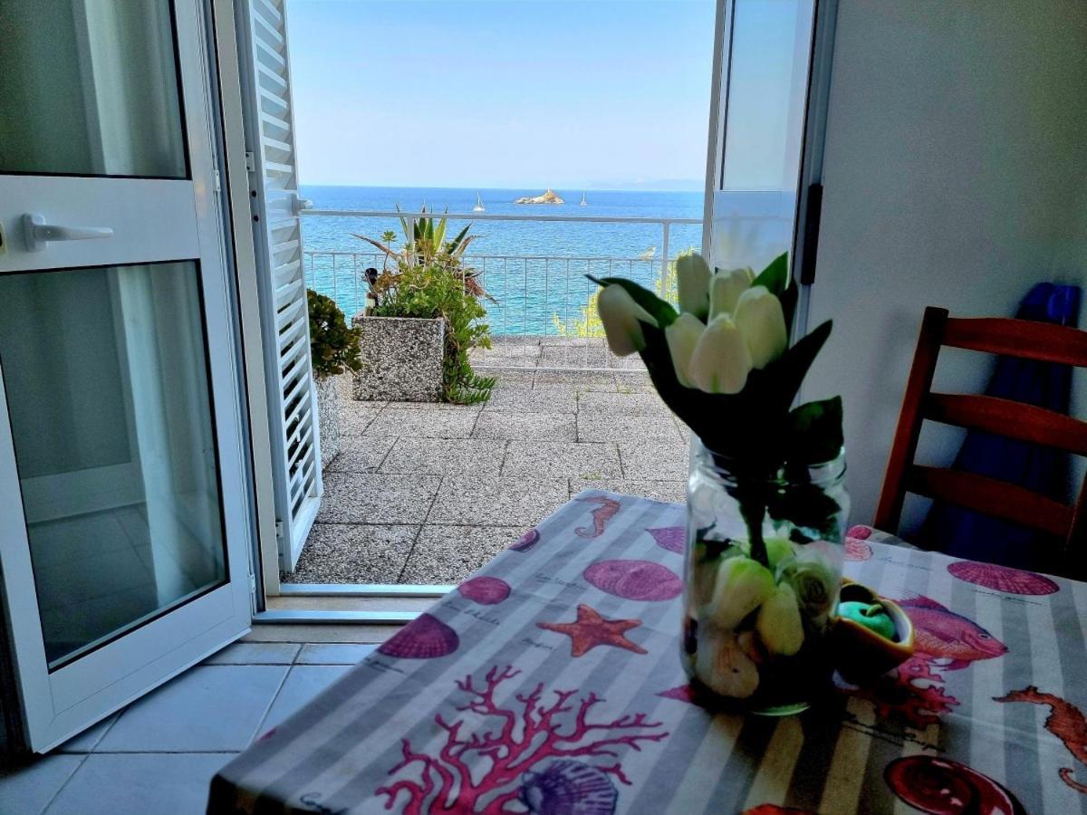 Appartamenti La Terrazza Sulle Ghiaie - Goelba Portoferraio Rum bild
